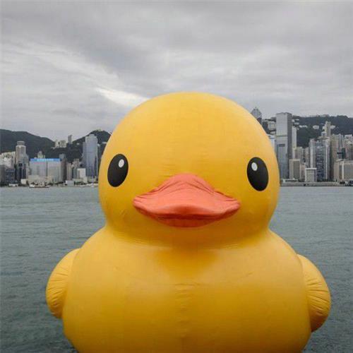 大黄鸭大型海上展示道具 香港大黄鸭 水上气模展示型道具 活动道具出租出售报价