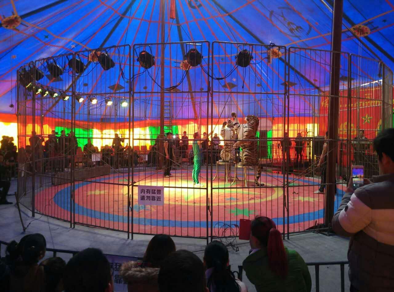 马戏团表演节目 马戏表演 暖场互动 大气剪彩节目 启动仪式 大型马戏团活动 全国各地演艺机器人